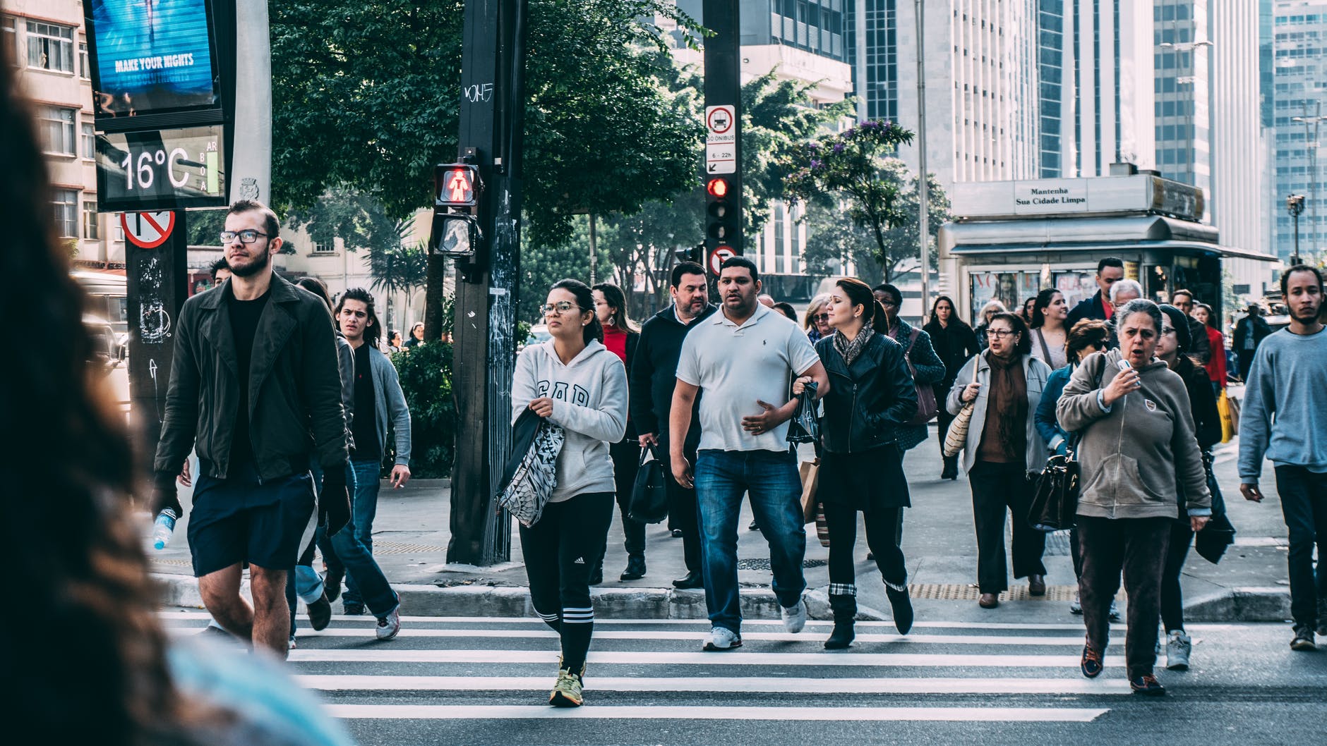 people walking on pedestrian lane during daytime