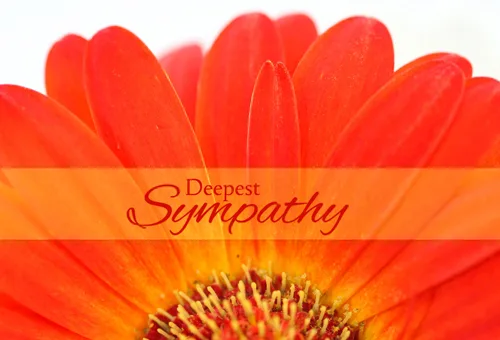 Birthday Company Sympathy Card
